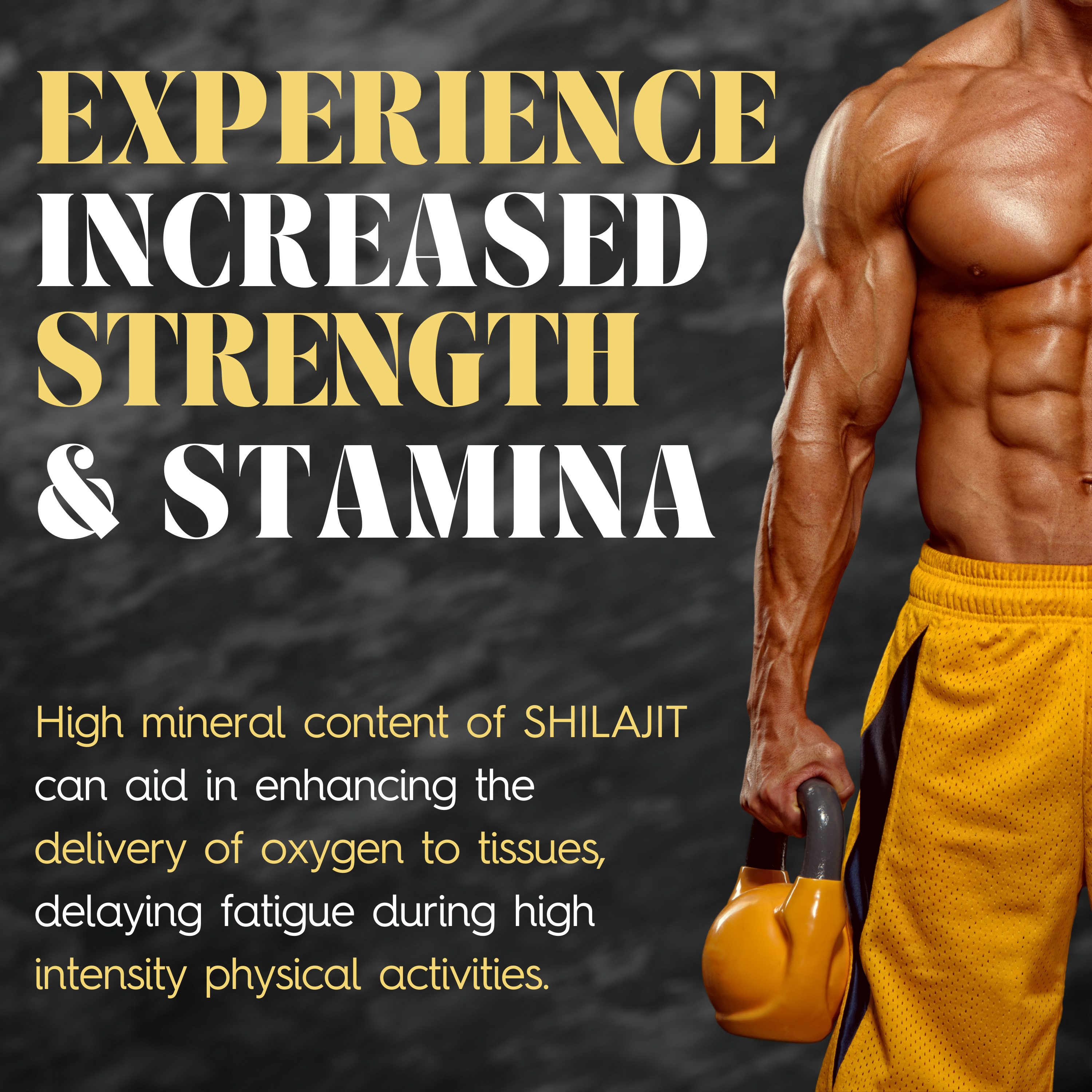 Himalayan Shilajit Gold with Swarna Bhasma & Ashwagandha for Extra Strength, Stamina, Improves Endurance & Builds Muscle Mass (60 Capsules)