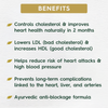 Cholestro Xpert™: Ayurvedic Medicine to Lower Cholesterol & Support Heart Health (Ministry of Ayush Approved)