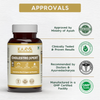 Cholestro Xpert™: Ayurvedic Medicine to Lower Cholesterol & Support Heart Health (Ministry of Ayush Approved)