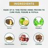 Pile Xpert™: Ayurvedic Medicine for Piles, Fissure & Fistula (Ministry of Ayush Approved)